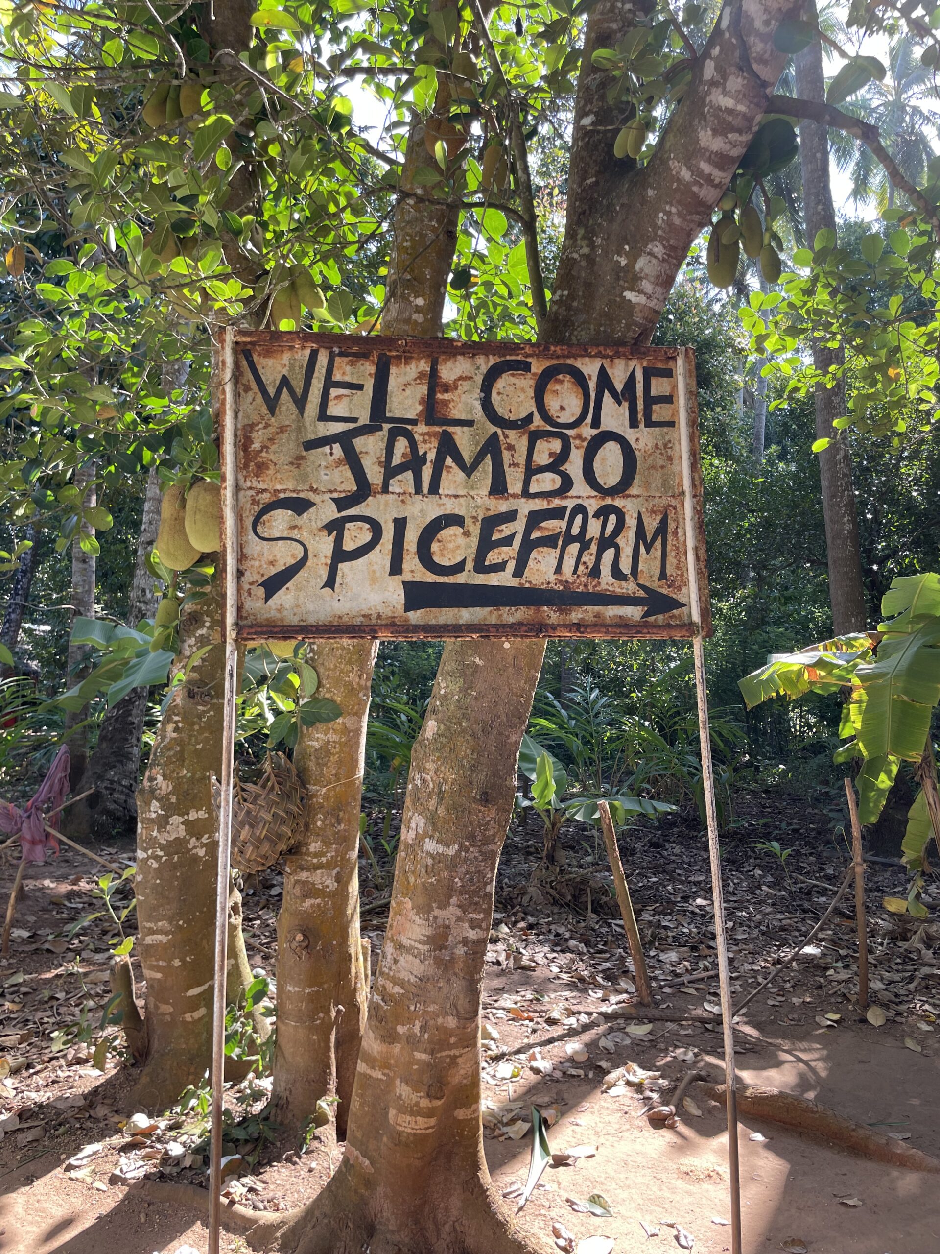 zanzibar stone town spice tour