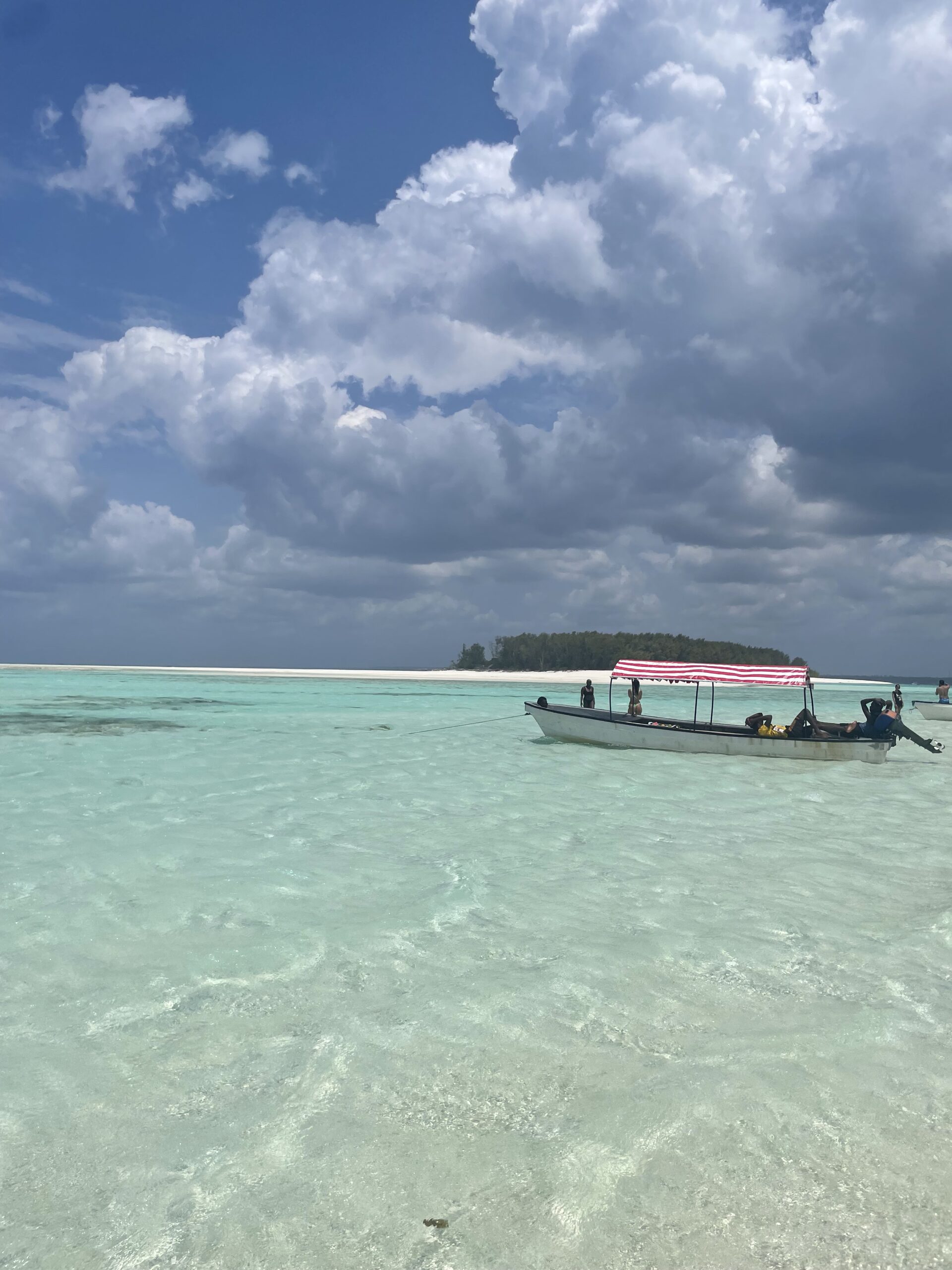 zanzibar mnemba island